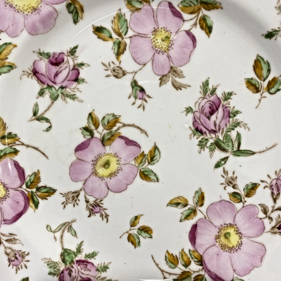 Royal Tuscan Fine Bone China Plate Decorative British Columbia Pink Dogwood - Picture 3 of 5